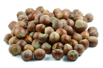 karadeniz fındık