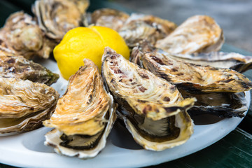 A dozen oysters on a plastic plate