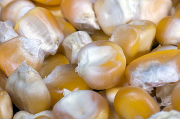 Whole kernel corn