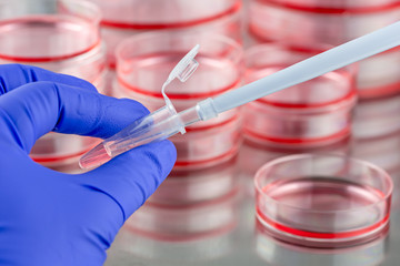 Adding samples to a test tube.