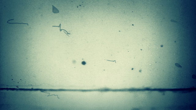 Film FX1022: Dust and scratches on old film leader (Loop).
