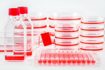 Various cell culture plates, dishes and flasks