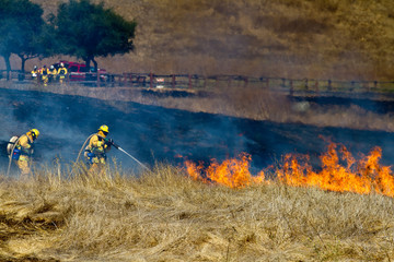 Wildland Firefighter fighting grass fire