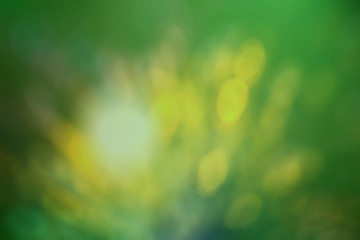 Obraz premium Bokeh Natur
