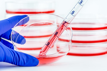 Changing medium of a cell culture dish.