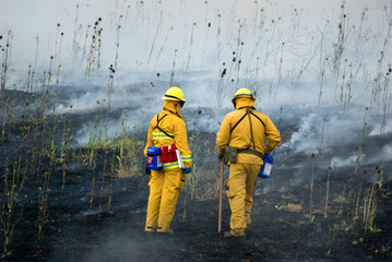 Wildland Firefighters