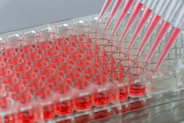 Adding samples inside a biosafety cabinet