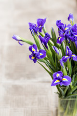 Bright irises Background