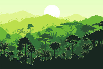 Fototapeta na wymiar Vector tropical rainforest Jungle background
