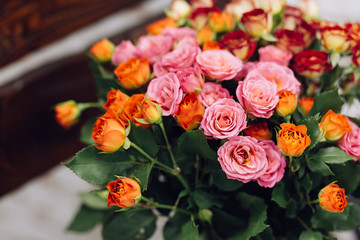 Soft color Roses Background