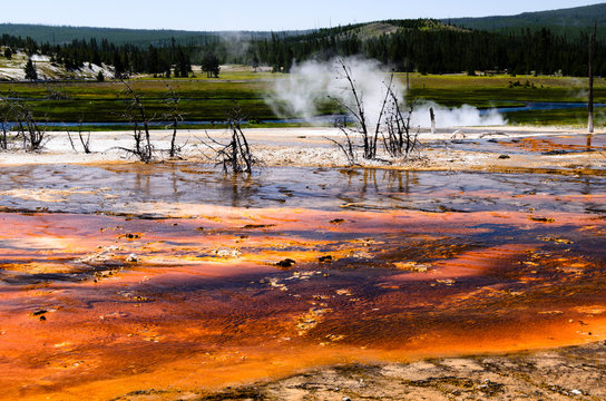 Steam rising over the hot river with erupting geyser in Yellowstone national park
