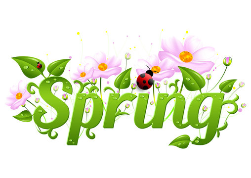 Spring positive card for greeting with beginning of spring. Word spring in nature style with spring flowers, green leaves with dew drops and ladybugs. Spring card. Spring nature logo isolated on white