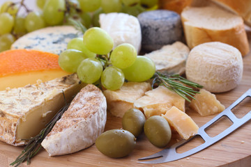 Various types of cheese