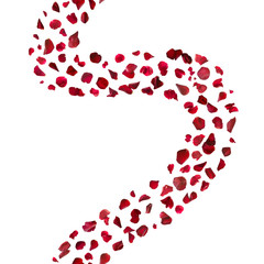 Red curvy line of rose petals, studio photographed, vertically repeatable and isolated on absolute white