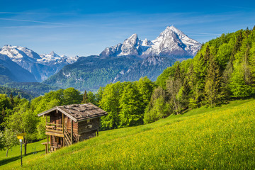 Fototapeta na wymiar Mountain scenery in the Alps with traditional mountain lodge in springtime
