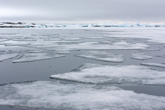 Ice Floes in Antarctica.