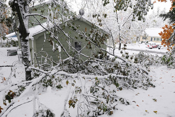 fallen tree branches after snow storm in residential district near house
