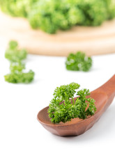 fresh parsley on wood spoon