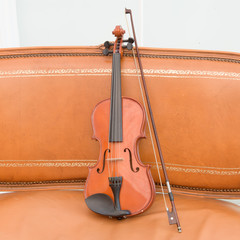 Violin on the leather