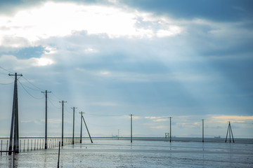 海と電柱