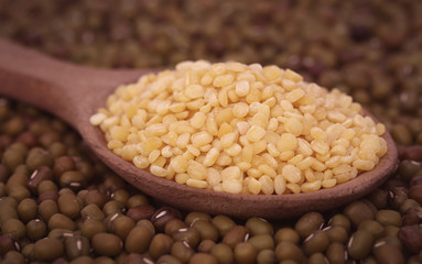 Dry mung bean