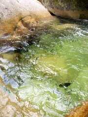 Obraz premium 尾白川渓谷