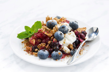 berry crumble with oat flakes and blueberries