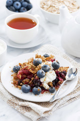 berry crumble with oat flakes on a plate for breakfast, vertical