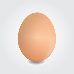 close-up-of-an-egg-isolated-on-white-background