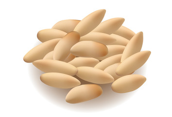 Pine nuts in closeup on white background