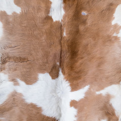 Cow skin texture