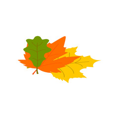 Fototapeta premium Autumn leaves isometric 3d icon