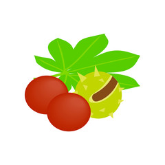 Coconut, durian and palm leaves isometric 3d icon