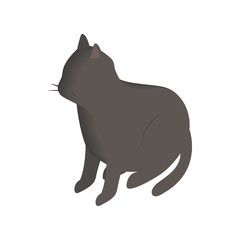 Black cat isometric 3d icon