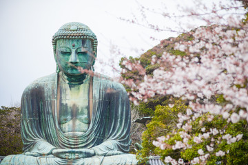 Giant Buddha and Sakura Tree in Japan