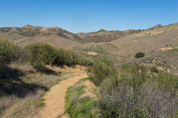 Hiking Path California Nature Area