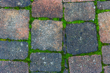 Stone pathway texture