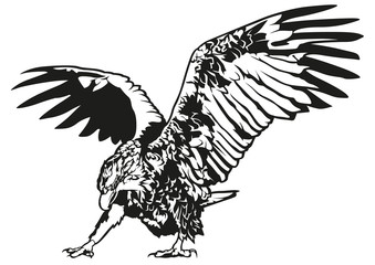 Black and White Eagle - Outline Illustration, Vector
