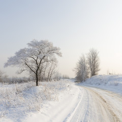 Obraz na płótnie Canvas Winter landscape of the Moscow region
