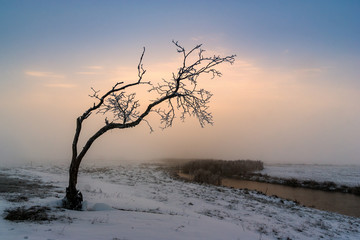 Starorzecze Narwi © podlaski49