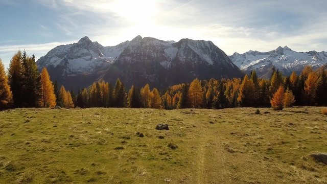 Bosco in Autunno - Sorvolo foresta Valle di Chiareggio
