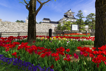 Obraz premium 富山城