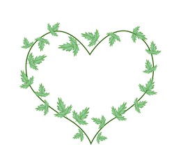 Green Ivy Leaves in A Beautiful Heart Shape