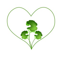 Fresh Asiatic Pennywort Plant in Heart Shape