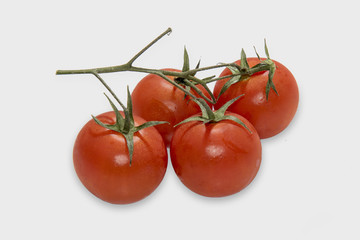 Pomodori, Quattro pomodori isolati