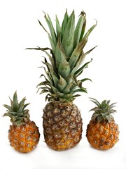 Fototapeta premium tasty pineapples
