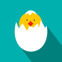 Yellow newborn chicken hatched from the egg icon