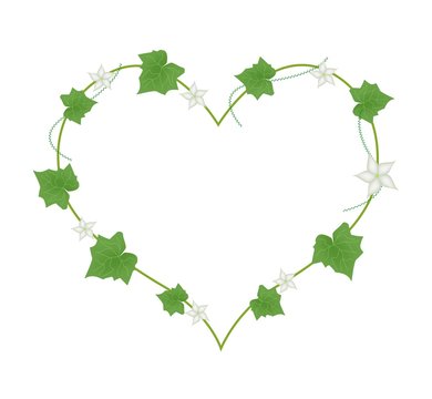 White Flowers and Leaves in Heart Shape