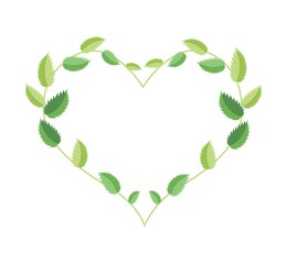 Fresh Green Leaves in A Beautiful Heart Shape