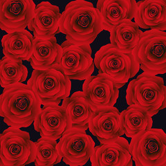 Background with red roses, vector